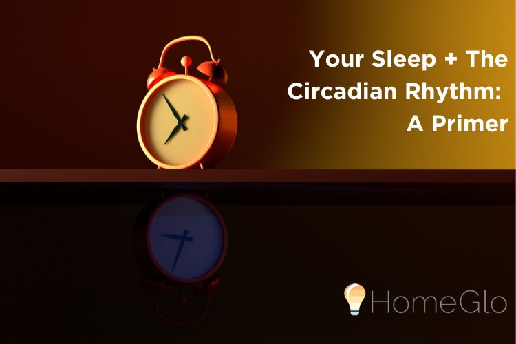 HomeGlo Blog Feature Image Circadian Rhythm