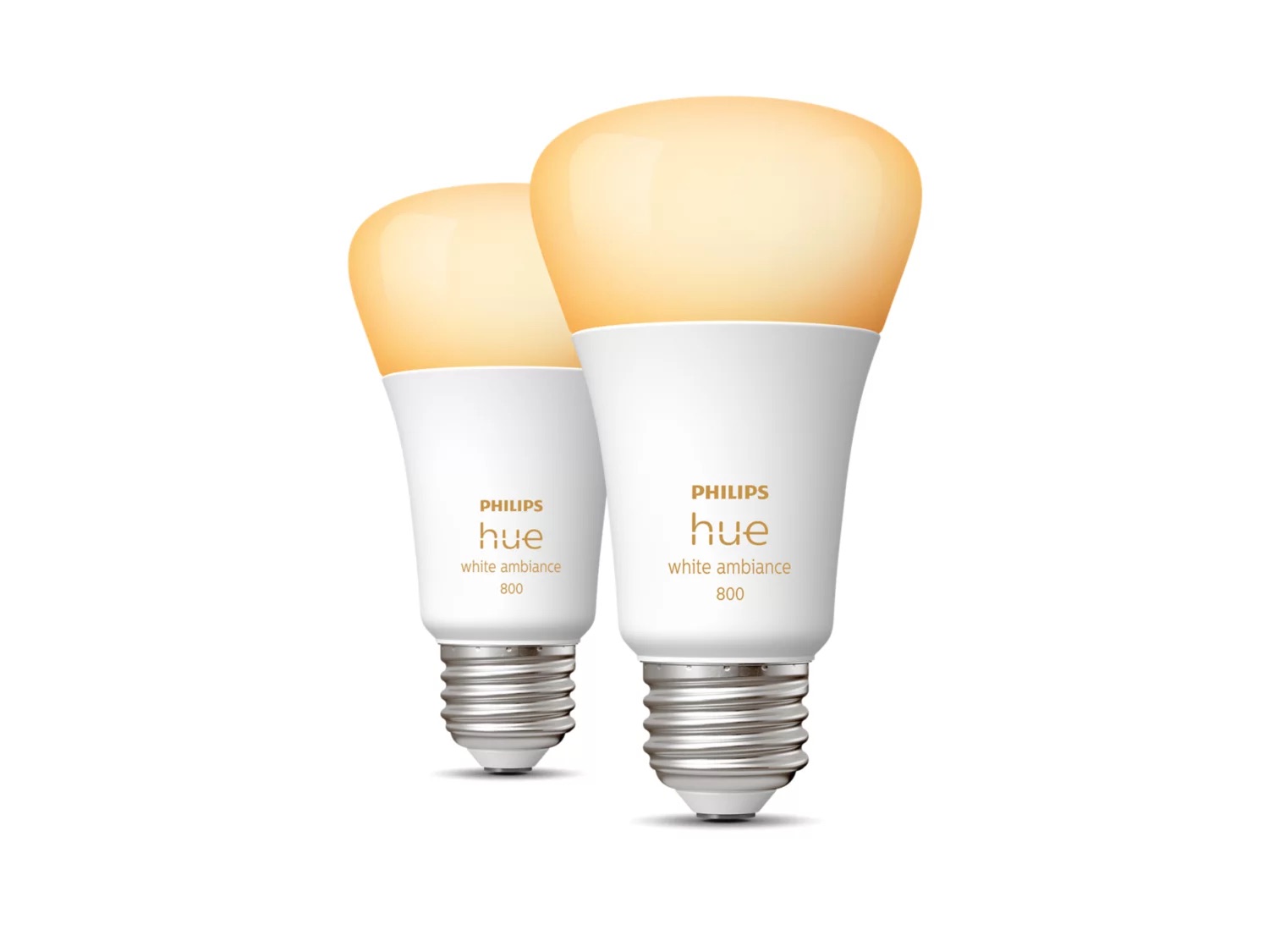 bulb